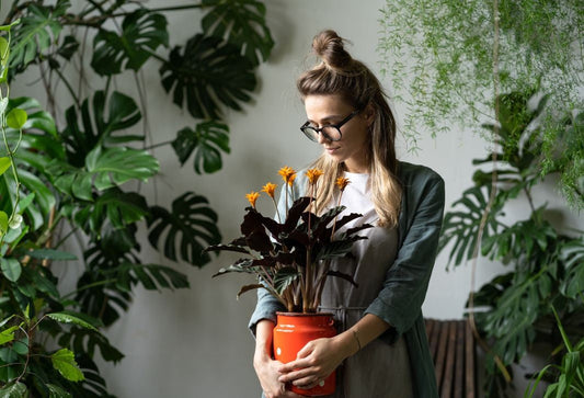A plant lover in her houseplant garden