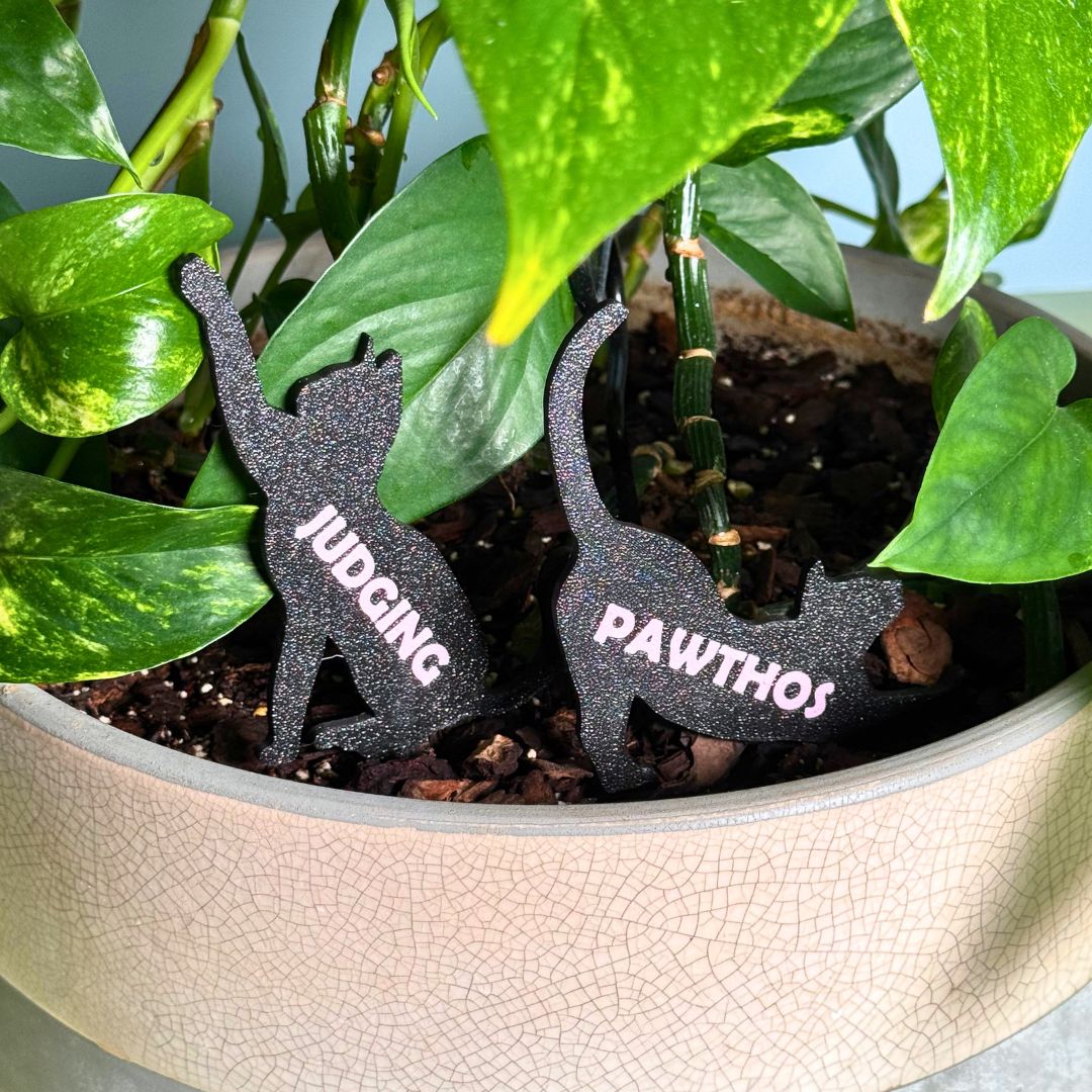 Custom Cat Plant Stake Set of 2 for Houseplants