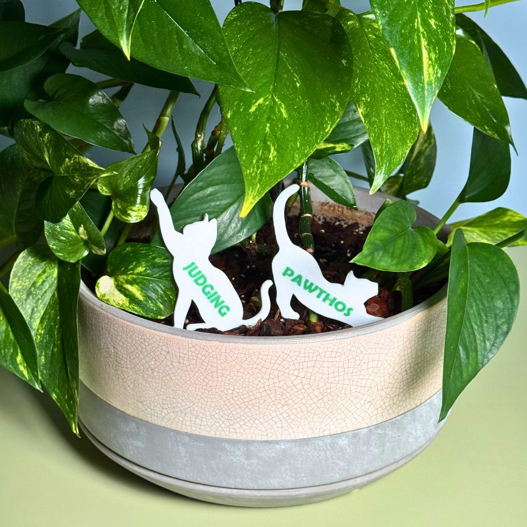 Custom Cat Plant Stake Set of 2 for Houseplants