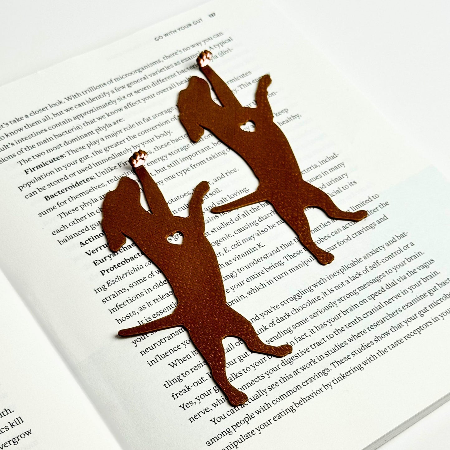 Dog Hanging by Paw Fun Bookmark with Cute Toe Beans