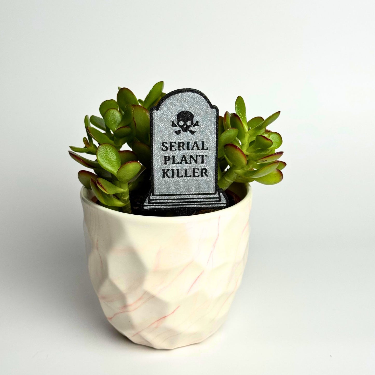 Serial Plant Killer Tombstone Funny Plant Stakes