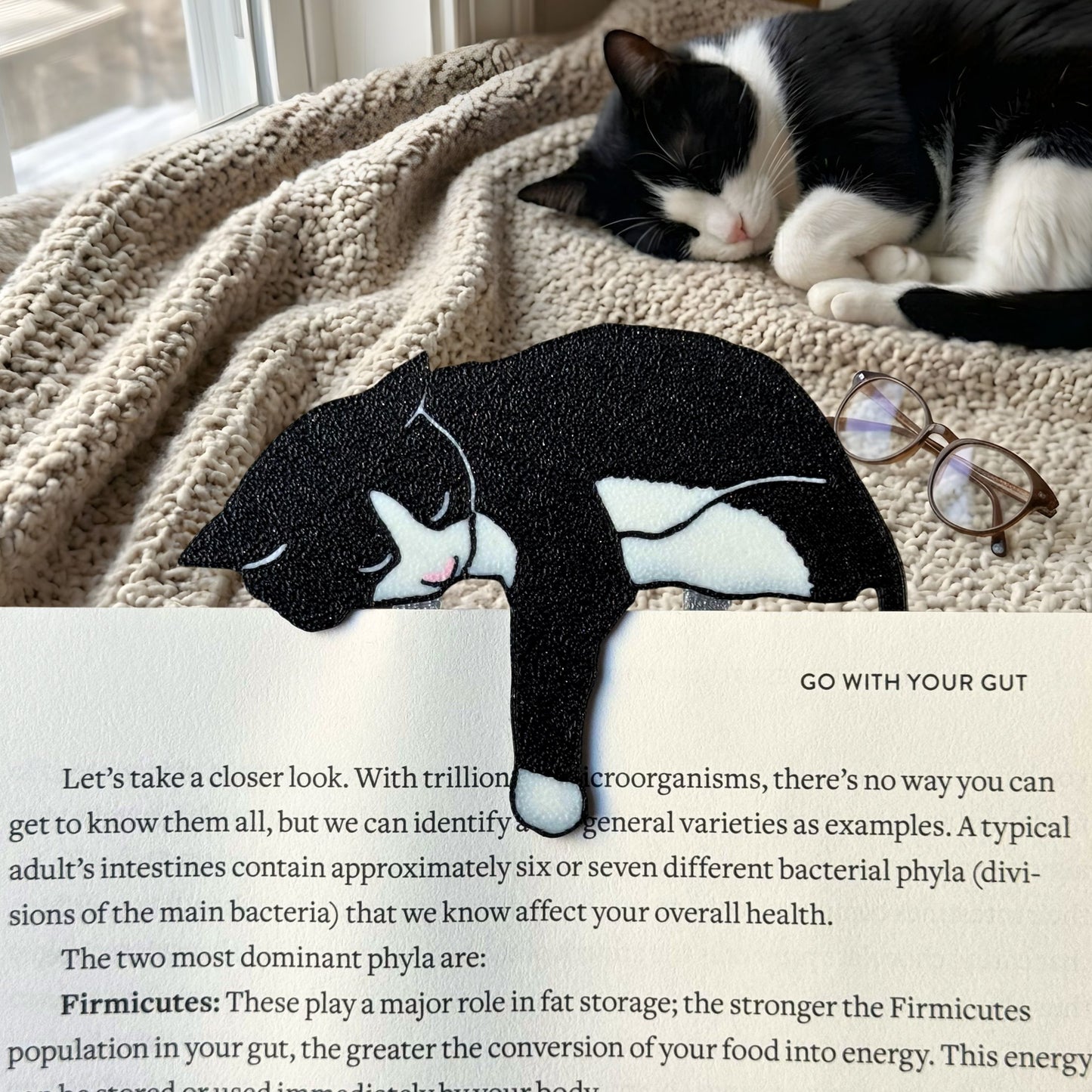Tuxedo cat bookmark resting inside a book with the paw dangling over the page with a sleeping tuxedo cat in the background