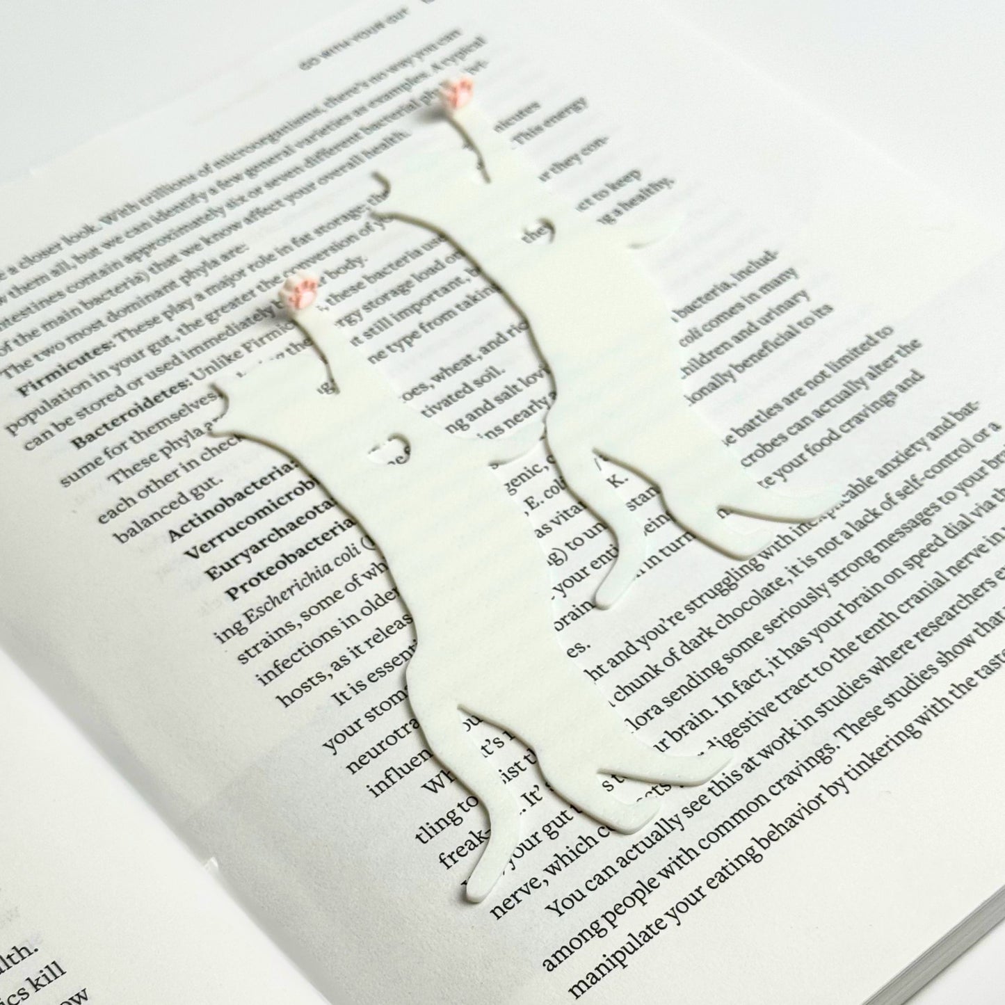 Cat Hanging by Paw Fun Bookmark with Cute Toe Beans
