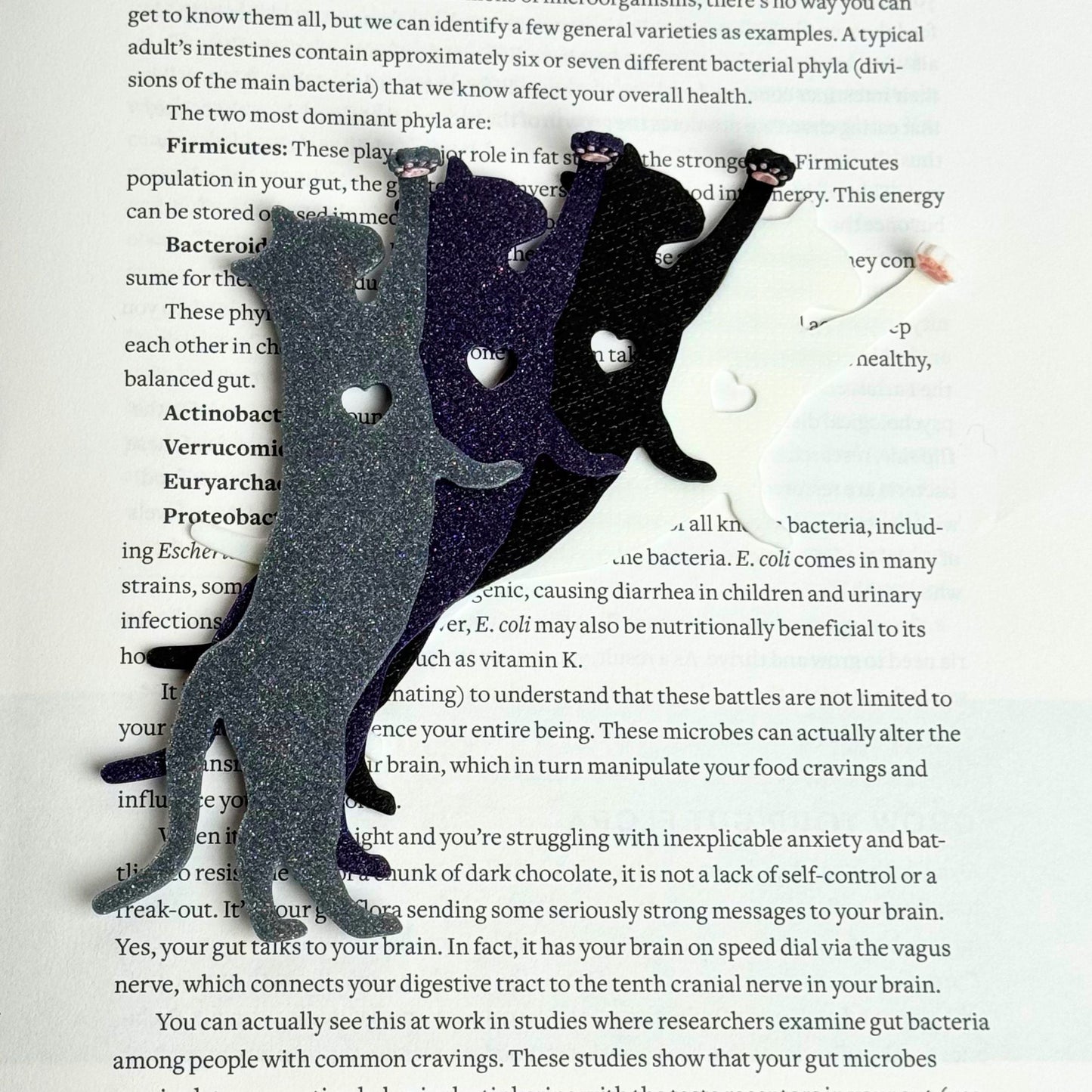 Cat Hanging by Paw Fun Bookmark with Cute Toe Beans