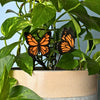 Custom Colorful Butterfly Plant Stake Set of 2 for Houseplants