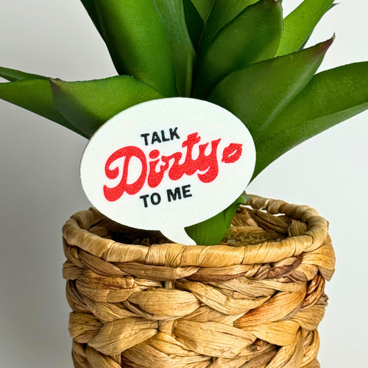 Talk Dirt-y to Me Plant Pun Funny Plant Stakes