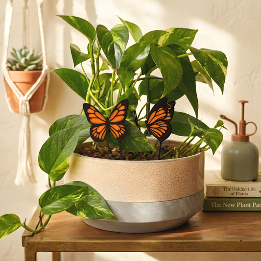 Custom Colorful Butterfly Plant Stake Set of 2 for Houseplants