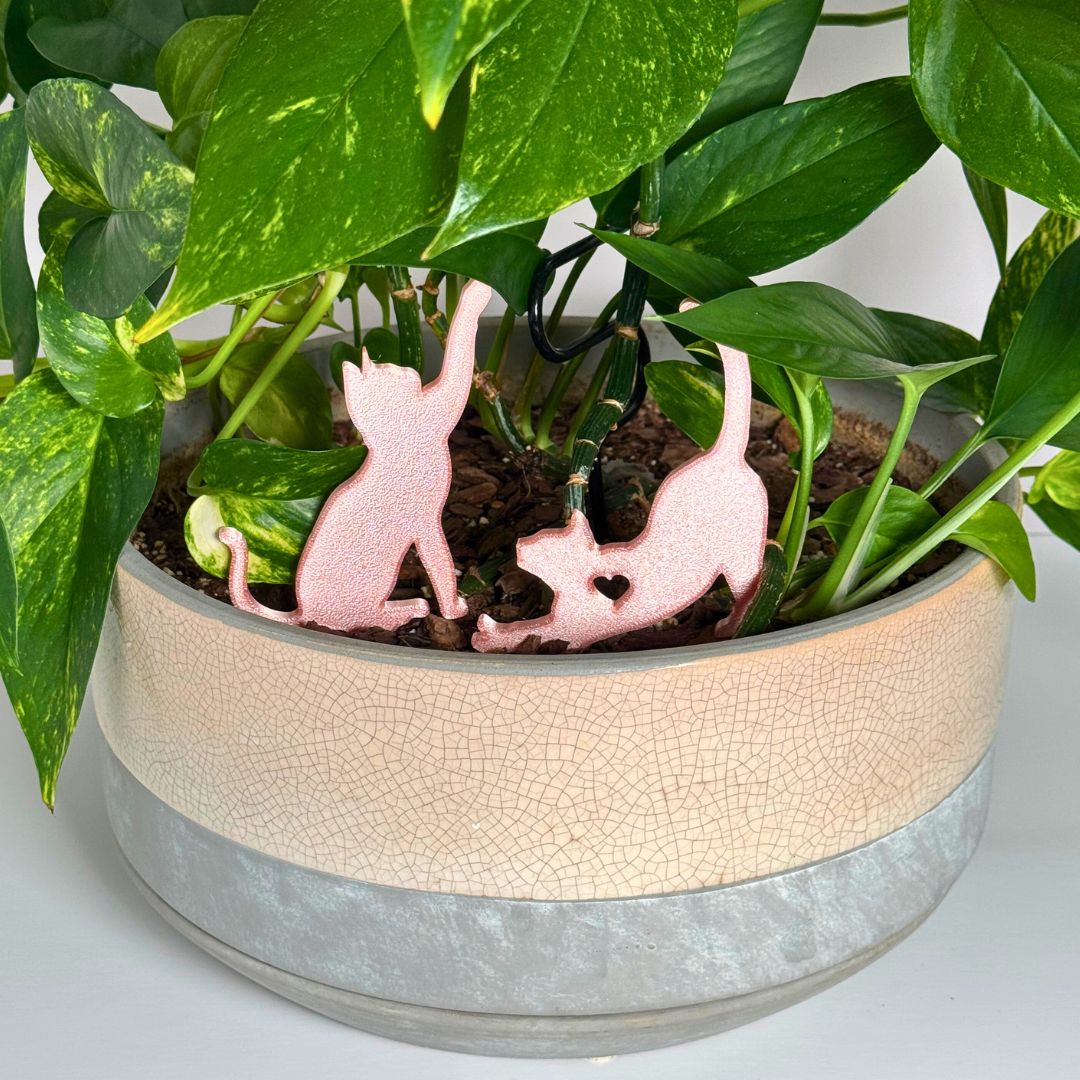 Cute set of shiny light pink cat plant stakes stretching and playing inside a houseplant