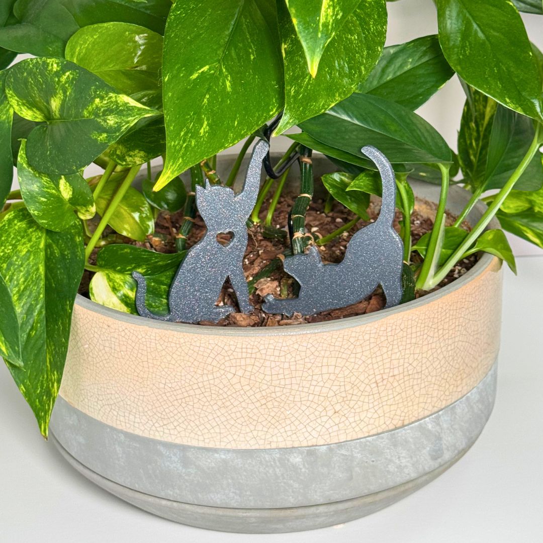 Cute set of gray cat plant stakes stretching and playing inside a houseplant