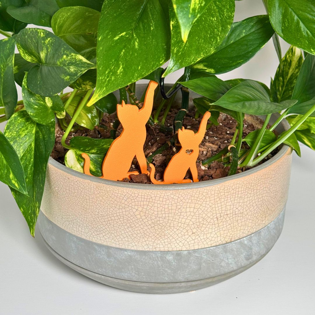 Cute set of orange cat plant stakes playing inside a houseplant shown in two sizes
