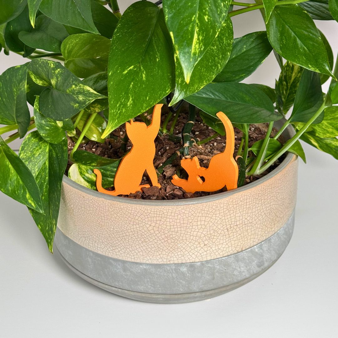 Cute set of orange cat plant stakes stretching and playing inside a houseplant