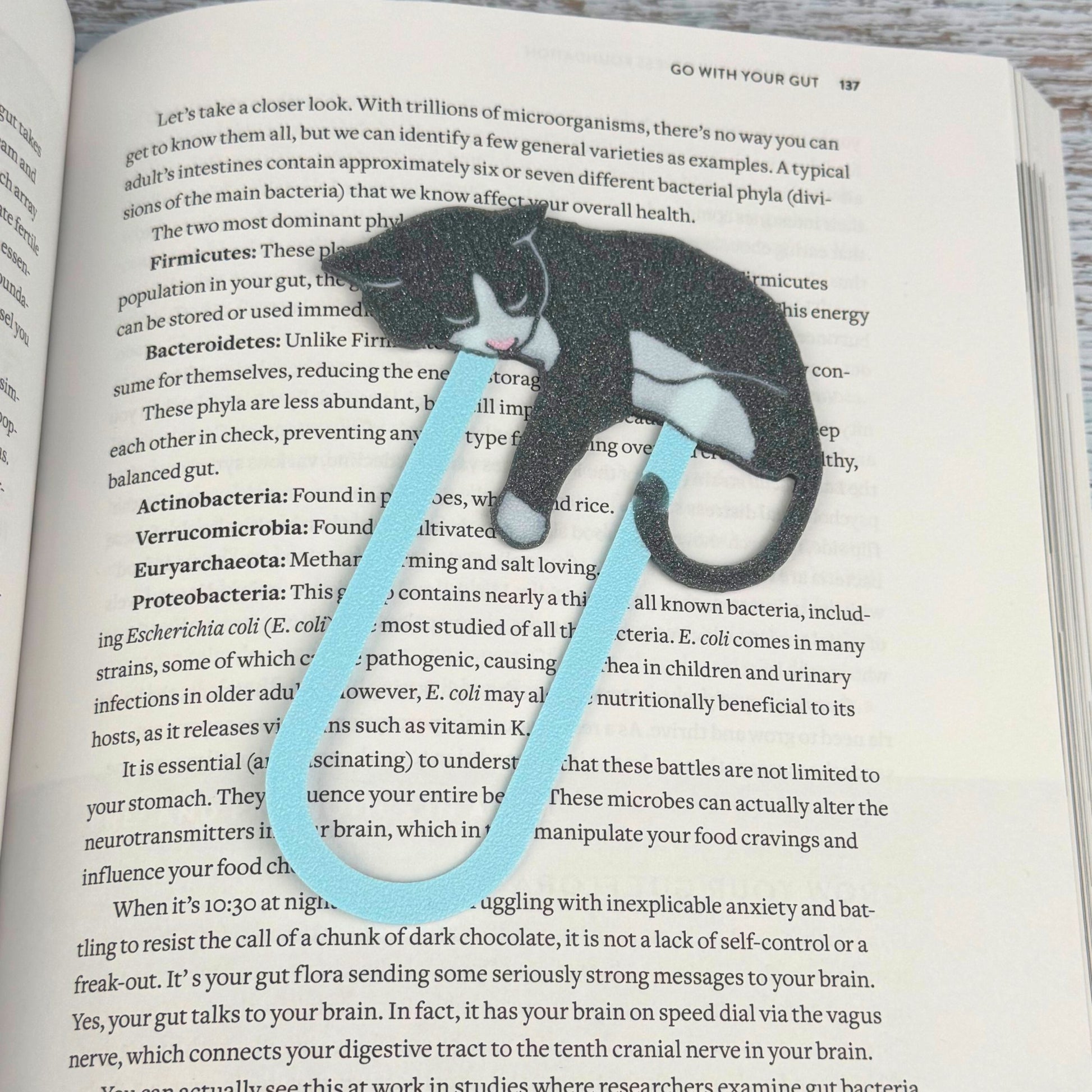 Gray and white tuxedo cat bookmarks shown in a book