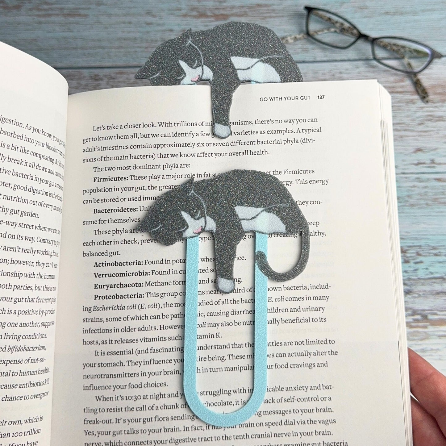 Gray and white tuxedo cat bookmarks shown in a book