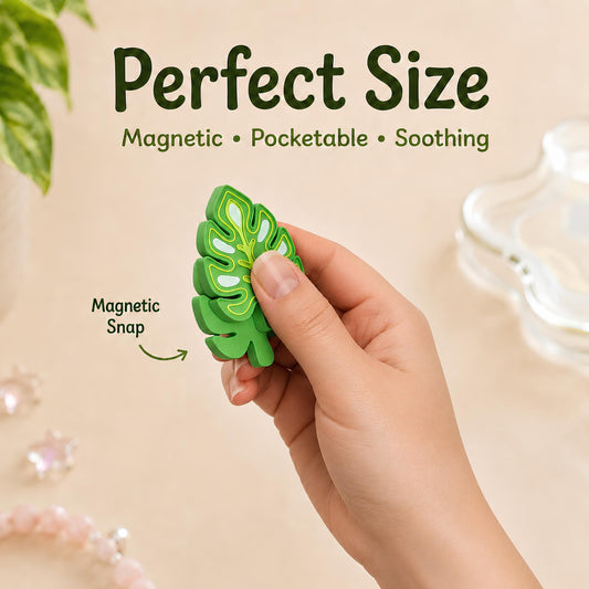 Magnetic Fidget Set | Botanical Desk Stim Gift