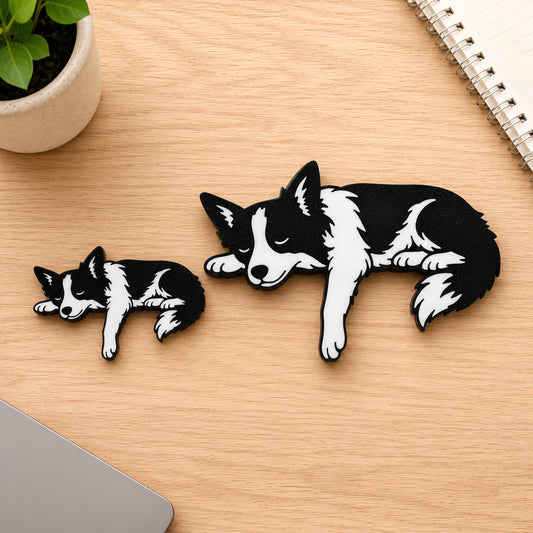 Small and large Border Collie shelf pets side by side on a light wood desk showing the size difference