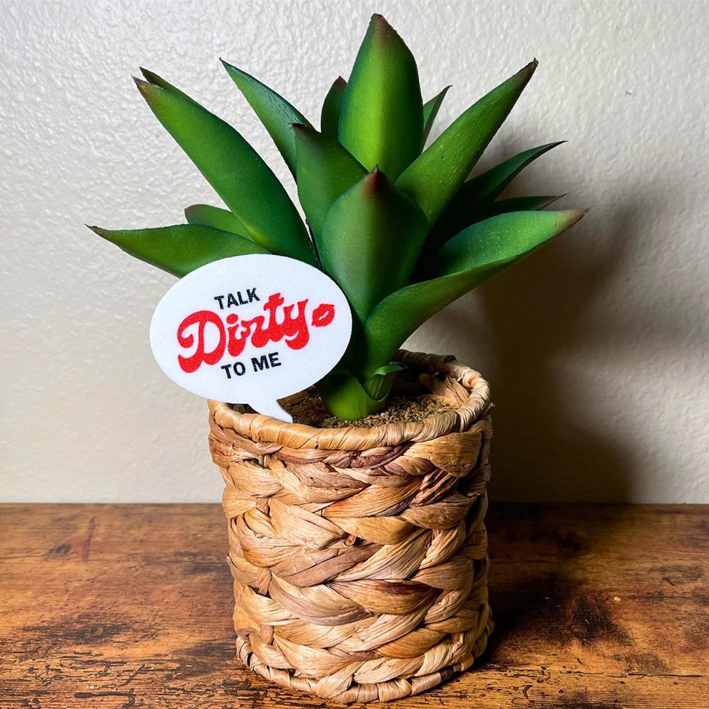 The punny Talk Dirty to Me plant stake in a houseplant