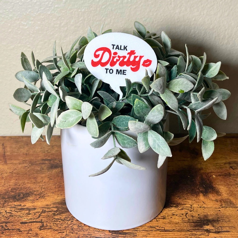 The punny Talk Dirty to Me plant stake in a houseplant