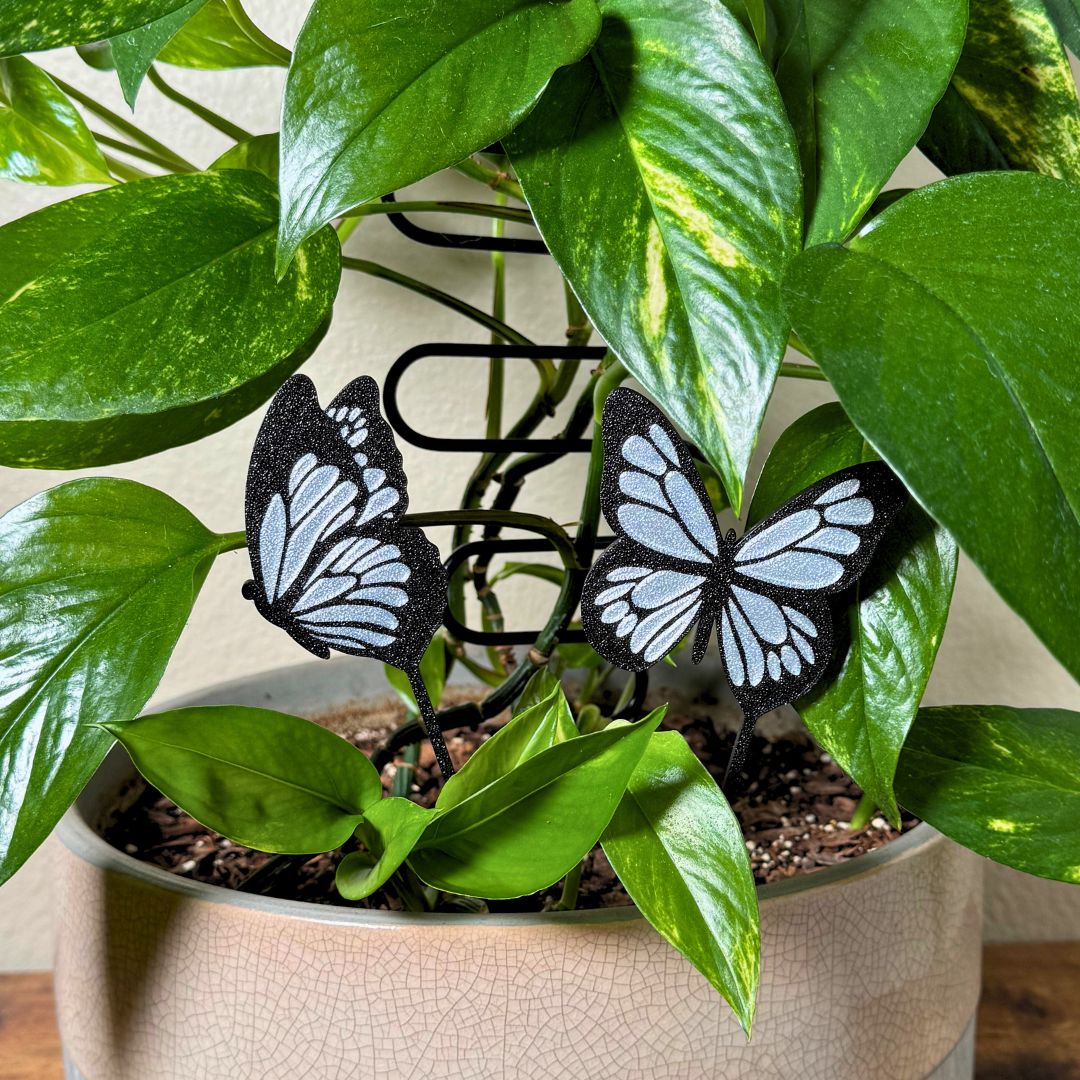 A set of 2 unique and tall butterfly plant stakes with black outlines and sparkling silver highlights