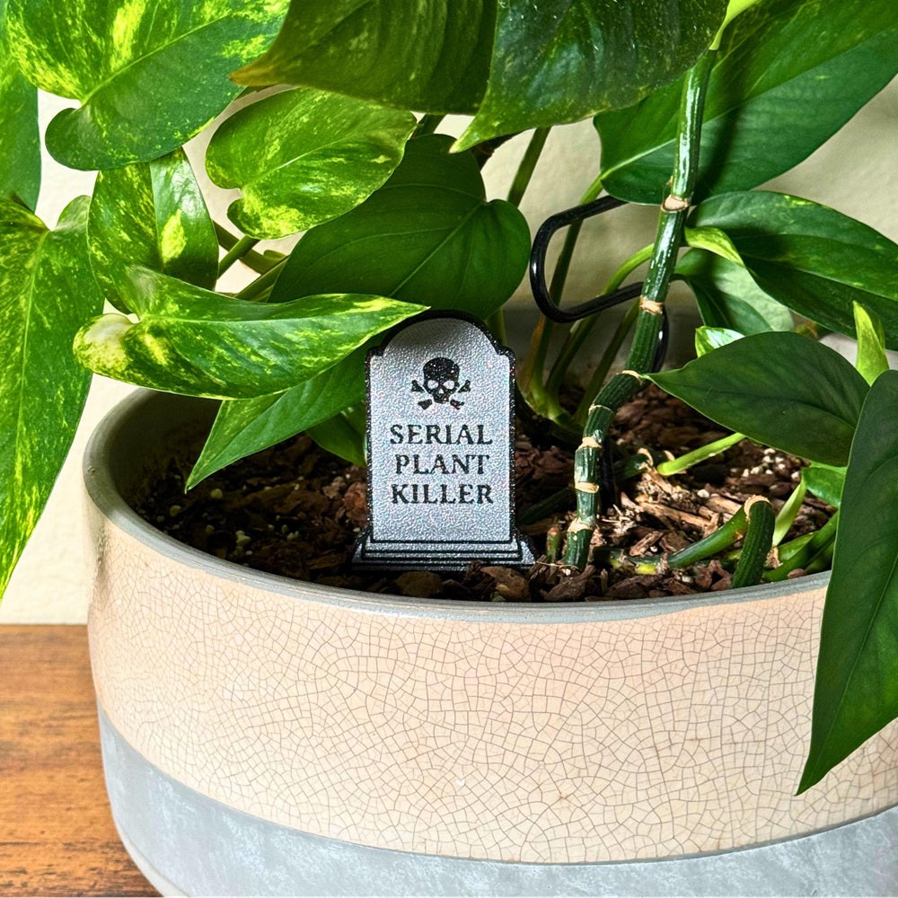Grey tombstone that reads "Serial Plant Killer" in black font in the soil of a houseplant