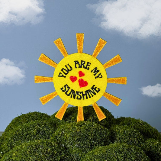 You Are My Sunshine Decorative Plant Stakes