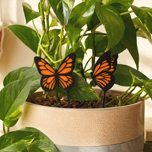 Plant Lover Gifts