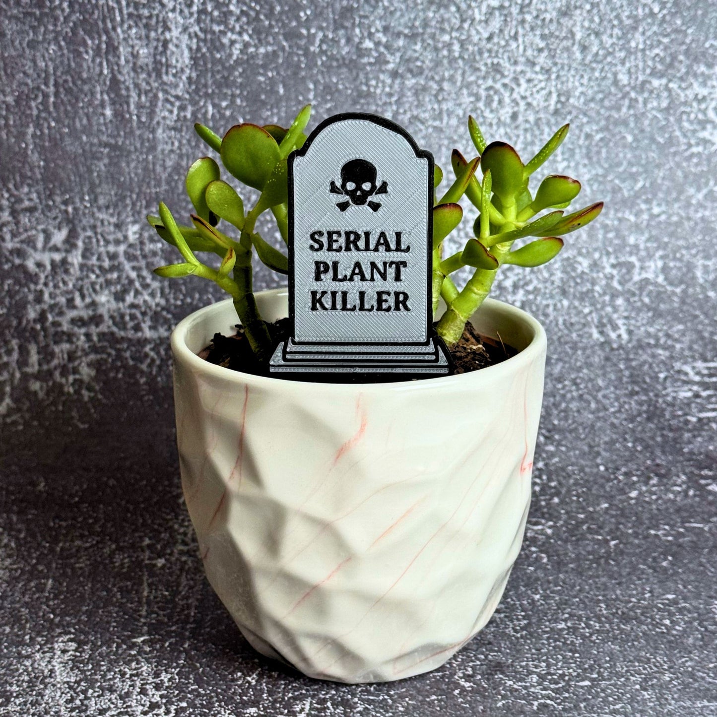 Serial Plant Killer Tombstone Funny Plant Stakes