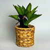 Grim Reaper Plant Stakes Goth Decor