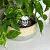 Gothic Skull & Rose Decorative Plant Stakes