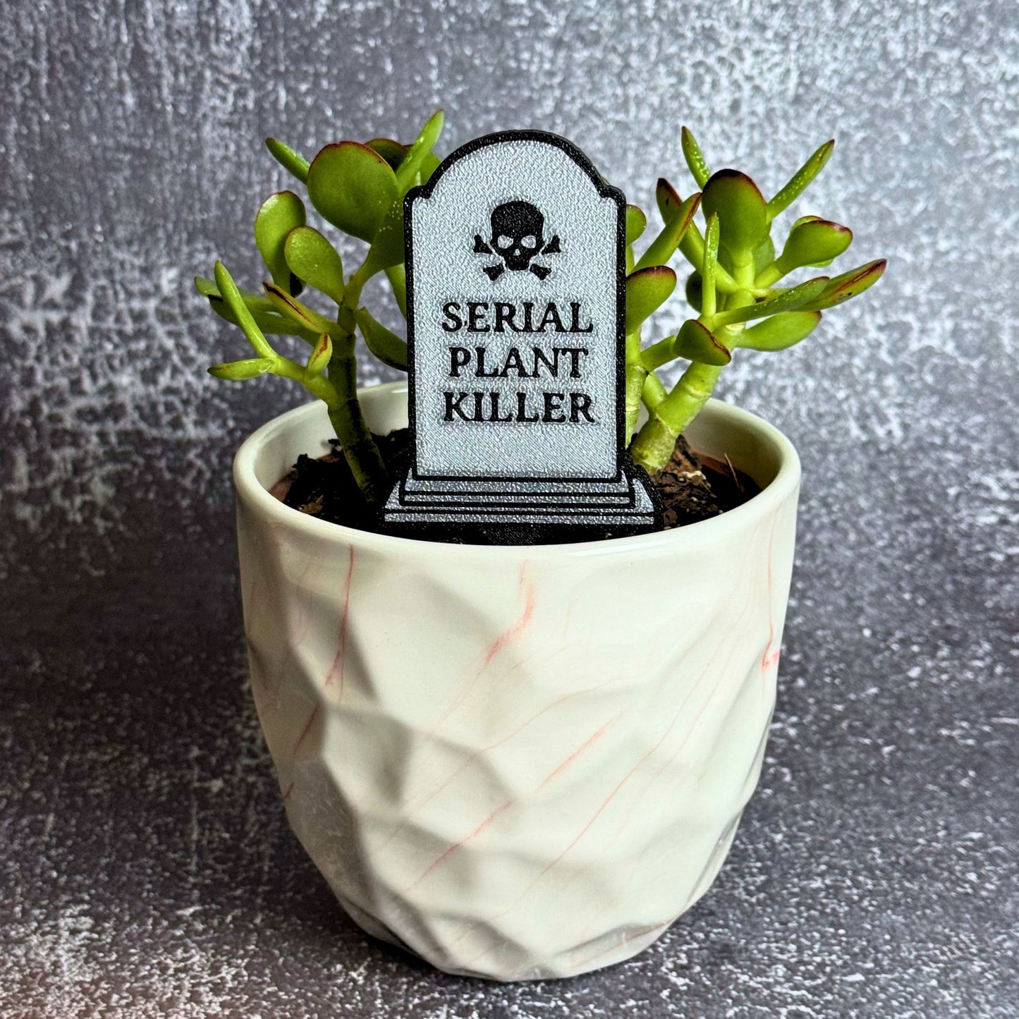Serial Plant Killer Tombstone Funny Plant Stakes