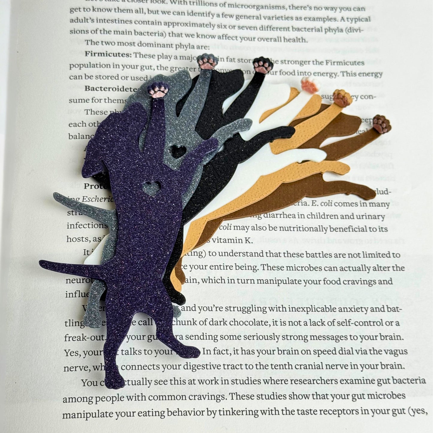 Dog Hanging by Paw Fun Bookmark with Cute Toe Beans