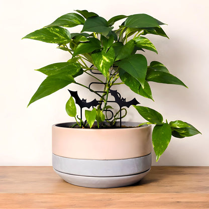 Flying Bat Plant Stakes | Halloween Houseplant Decor