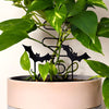 Flying Bat Plant Stakes | Halloween Houseplant Decor