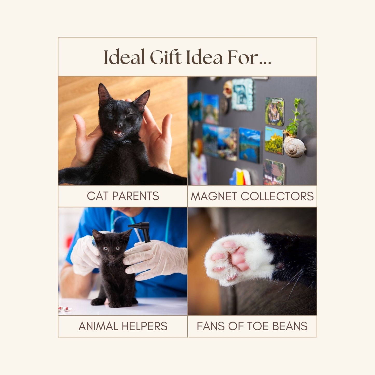 Black Cat Fridge Magnets