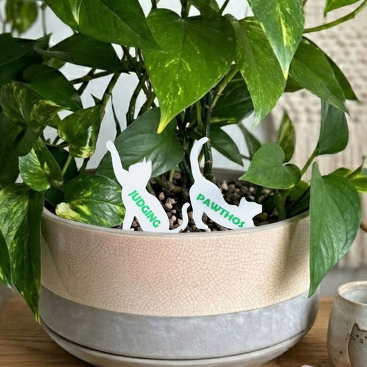 Cat Plant Stake Custom Set | Houseplant Cat Parent Gift