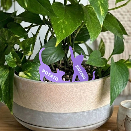 Cat Plant Stake Custom Set | Houseplant Cat Parent Gift