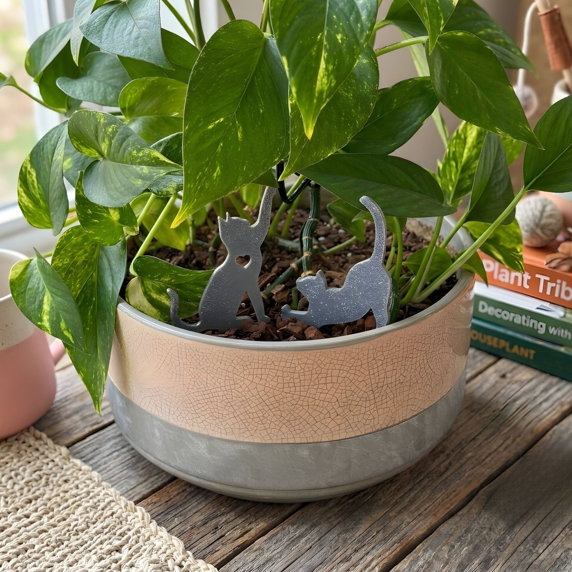 Potted plant with decorative gray cat figures on a wooden surface