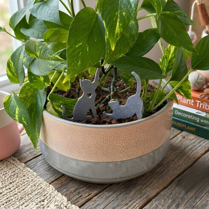 Potted plant with decorative gray cat figures on a wooden surface