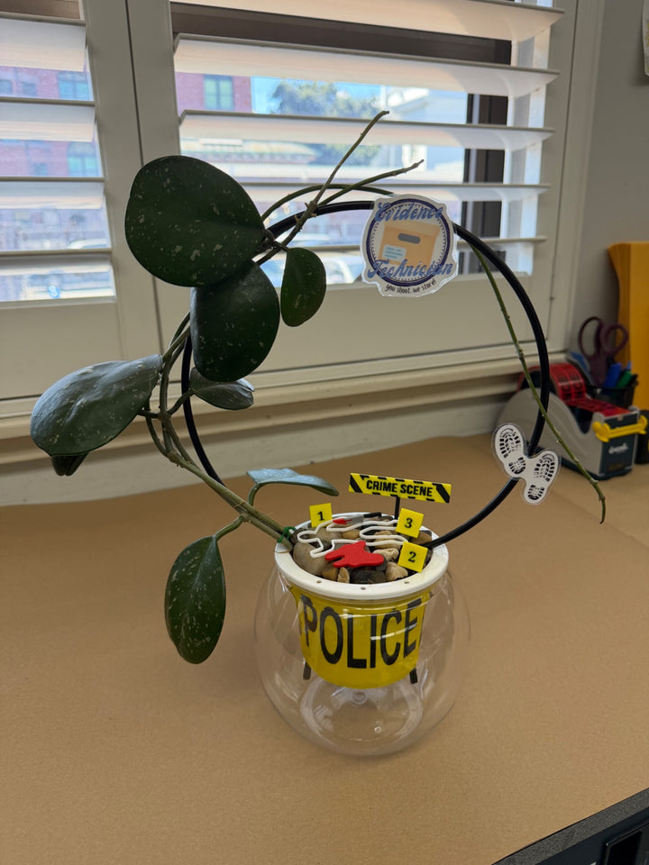True Crime Plant Stakes | Murder Mystery Fan Indoor Garden Decor Gift customer review photo