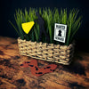 Wicker basket plant with a black silhouette investigator plant stake, a 'Wanted' poster plant stake, and a brown path of footprints on a wooden surface.