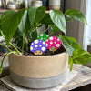 Mushroom Plant Stakes for Houseplants - Plant Decor for the Home & Office