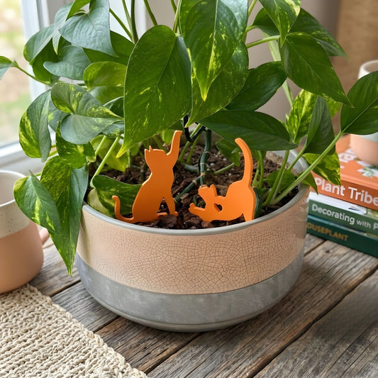 Cat Plant Stake Set | Houseplant Cat Parent Gift