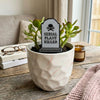 Serial Plant Killer Tombstone Funny Plant Stakes