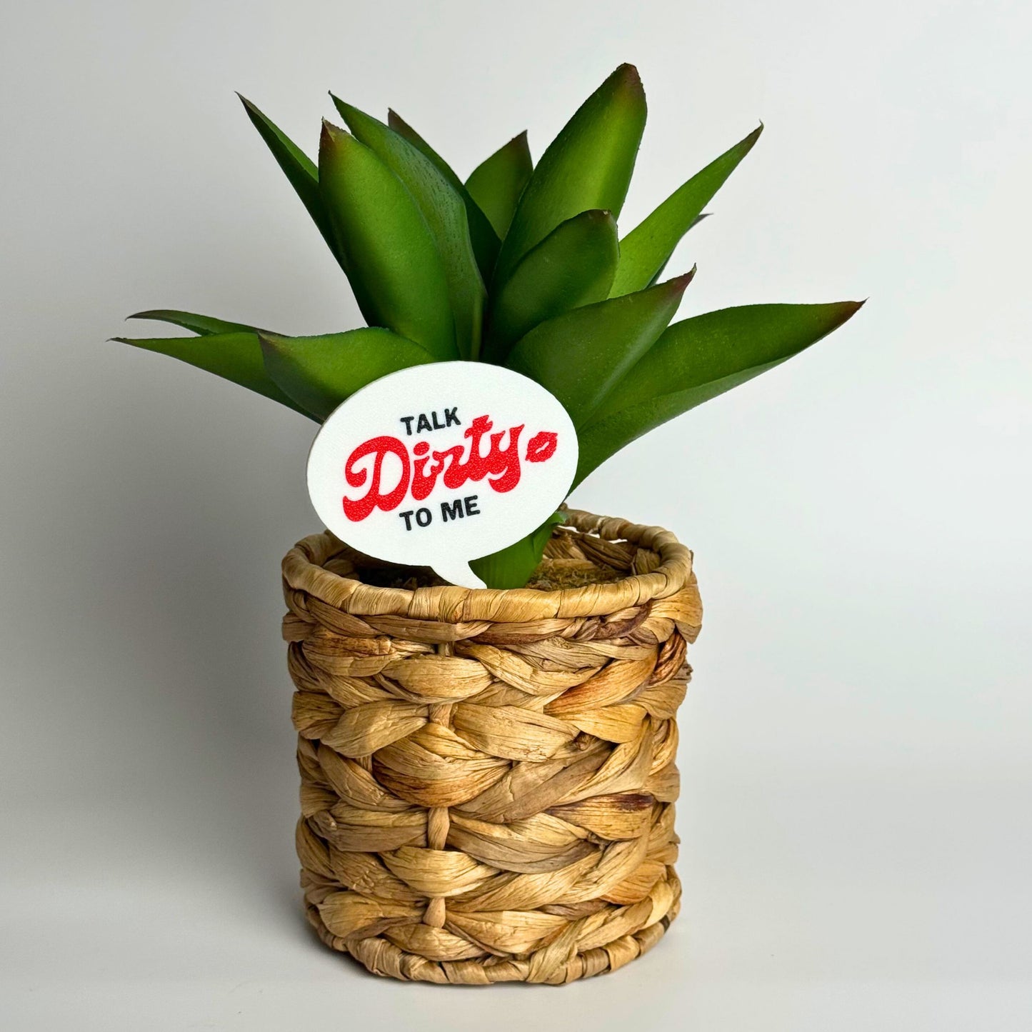 Talk Dirt-y to Me Plant Pun Funny Plant Stakes