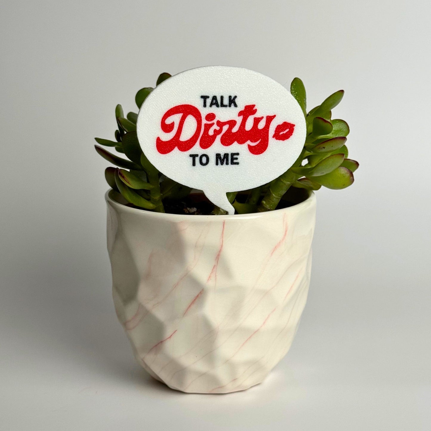 Talk Dirt-y to Me Plant Pun Funny Plant Stakes
