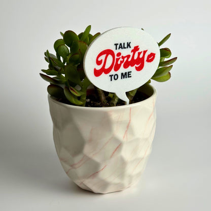 Talk Dirt-y to Me Plant Pun Funny Plant Stakes