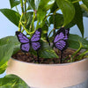 Custom Colorful Butterfly Plant Stake Set of 2 for Houseplants