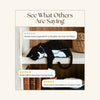 Tuxedo Cat Shelf Pet | Black and White Cat Shelf Decor