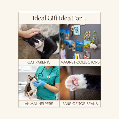 Adorable Tuxedo Cat Fridge Magnets