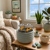 Alien UFO Plant Stakes for Indoor Houseplant Decor