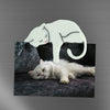 White Cat Fridge Magnets
